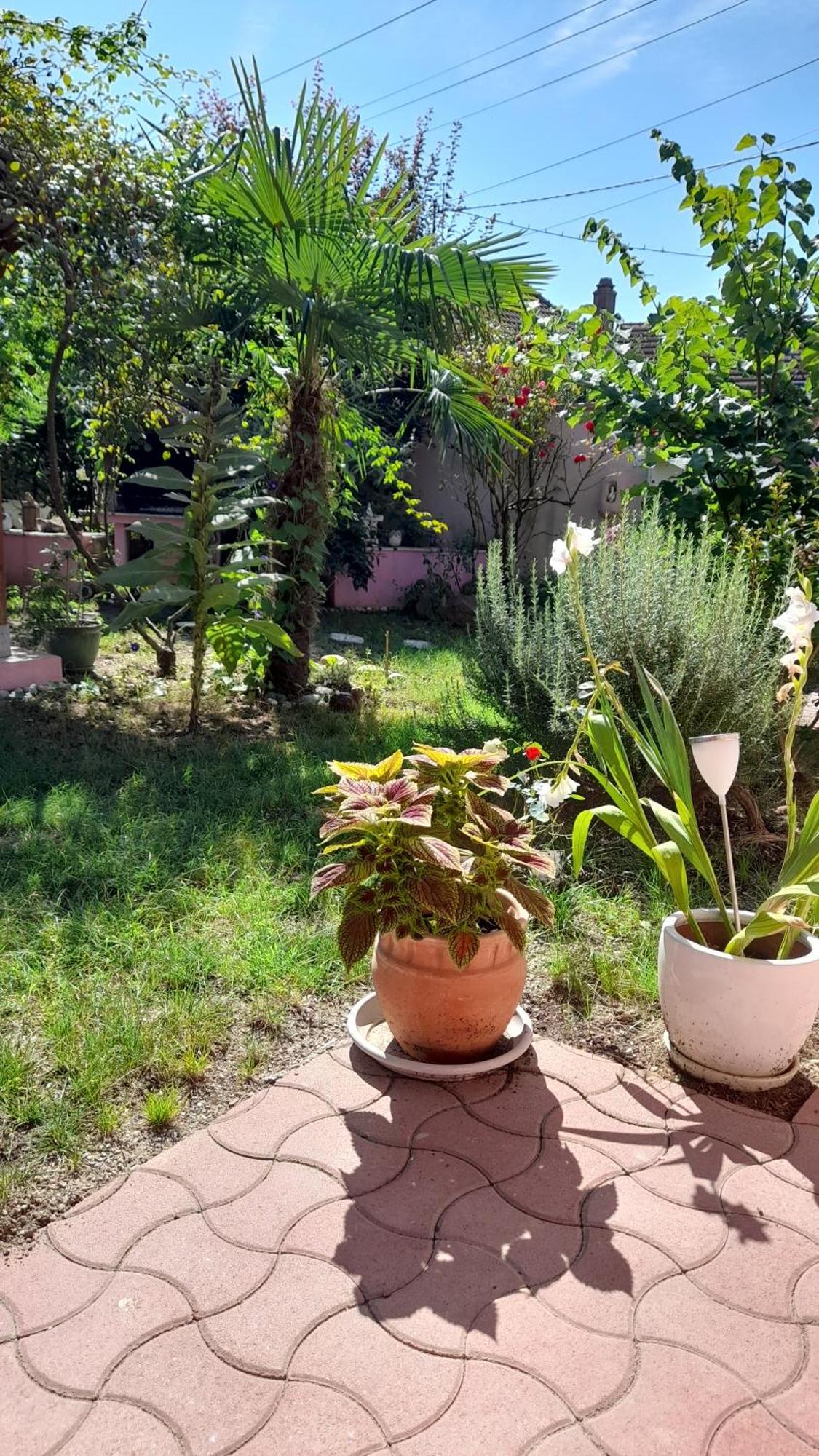 Venus Apartamento Dessenheim Exterior foto